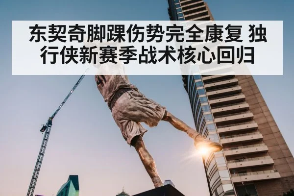 东契奇脚踝伤势完全康复 独行侠新赛季战术核心回归