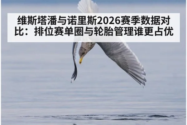 维斯塔潘与诺里斯2026赛季数据对比：排位赛单圈与轮胎管理谁更占优