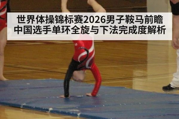 世界体操锦标赛2026男子鞍马前瞻 中国选手单环全旋与下法完成度解析